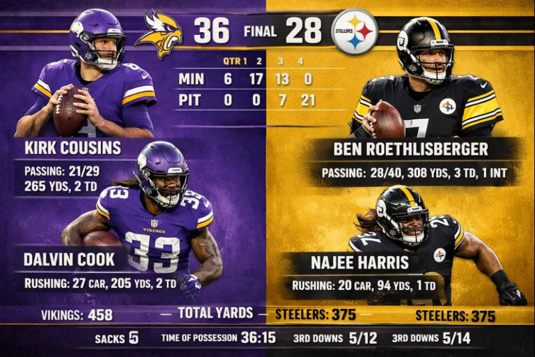 Minnesota Vikings vs Pittsburgh Steelers